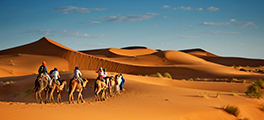 Morocco Luxury Tours 